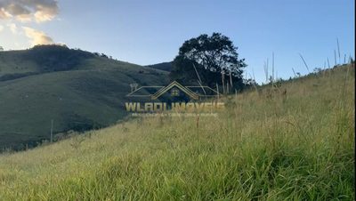 Terreno, 3 hectares - Foto 3
