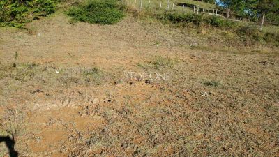 Terreno, 317 m² - Foto 5