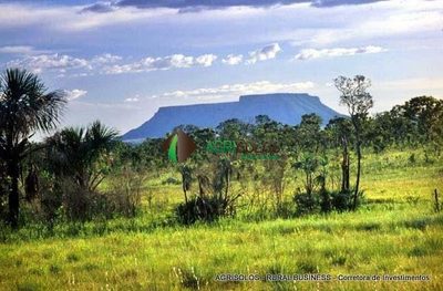 Terreno, 10000 m² - Foto 4