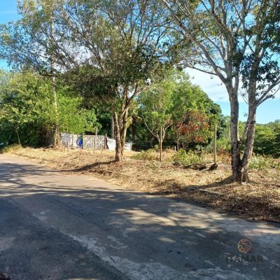 Terreno, 2100 m² - Foto 5