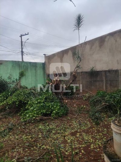 Casa, 2 quartos, 35 m² - Foto 1