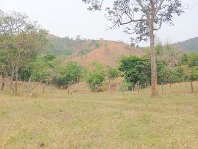 Fazenda, 135520 hectares - Foto 1