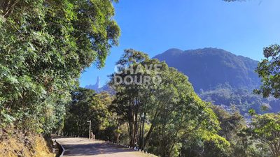 Terreno, 7 hectares - Foto 3