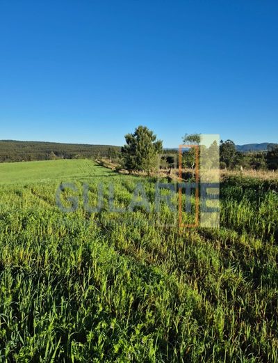 Fazenda, 63 hectares - Foto 2