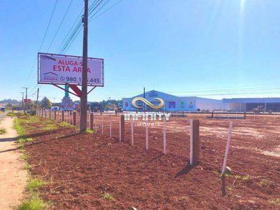 Terreno, 6000 m² - Foto 5