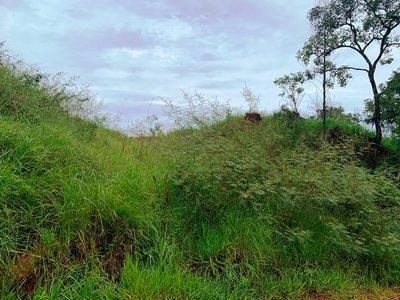 Terreno, 1666 m² - Foto 1