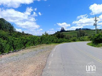 Chácara, 2 hectares - Foto 4
