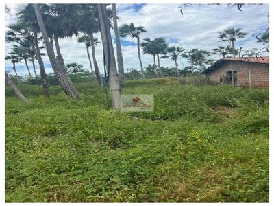 Fazenda, 670 m² - Foto 4