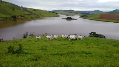 Chácara, 1 quarto, 109 hectares - Foto 3