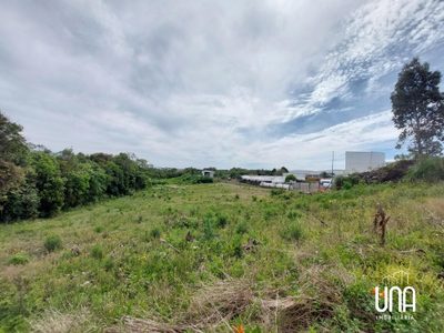 Terreno, 2863 m² - Foto 3