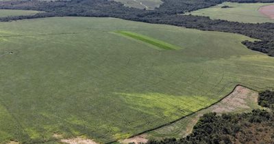 Terreno, 67 m² - Foto 5