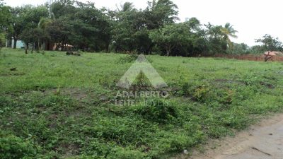 Terreno, 3200 m² - Foto 2
