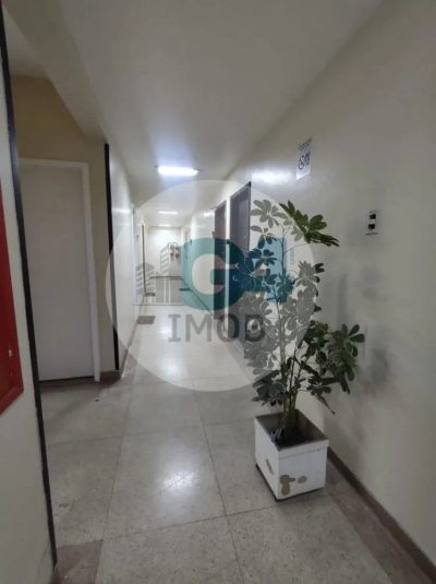 Loja-Salão, 29 m² - Foto 3
