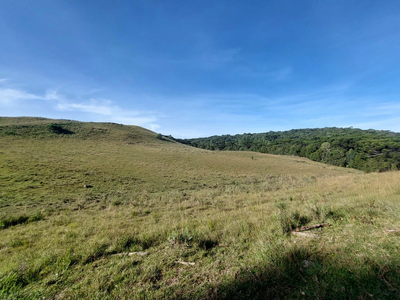 Fazenda, 425 m² - Foto 2