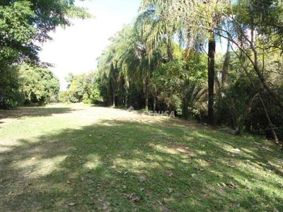 Chácara, 4 quartos, 3 hectares - Foto 3