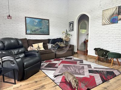 Chácara, 3 quartos, 5000 m² - Foto 3