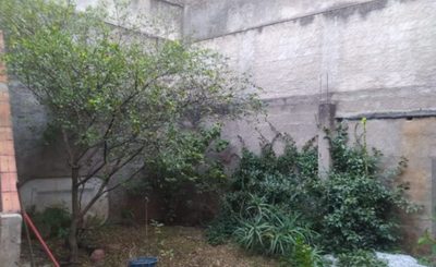 Casa, 2 quartos, 250 m² - Foto 5