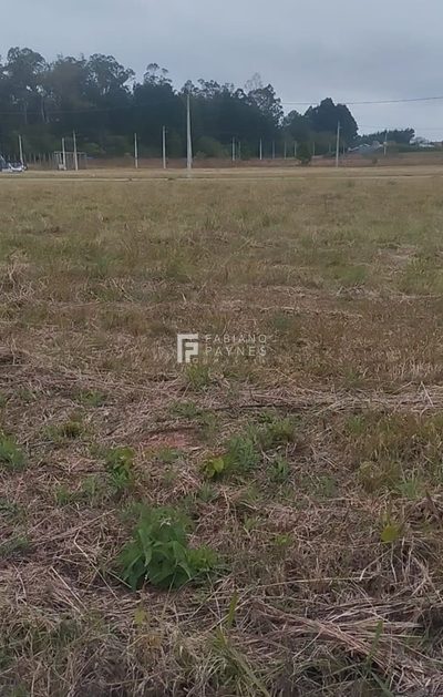 Terreno, 351 m² - Foto 1