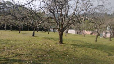 Terreno, 15 hectares - Foto 5