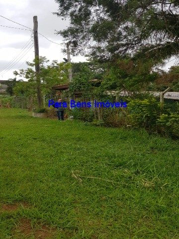 Sítio, 3 quartos, 100 m² - Foto 2