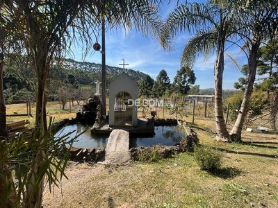 Chácara, 2 quartos, 5628 m² - Foto 3