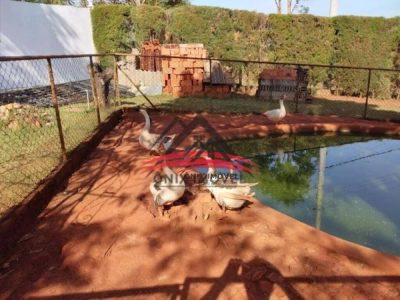 Chácara, 4 quartos, 3150 m² - Foto 2
