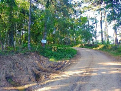 Terreno, 3 hectares - Foto 1