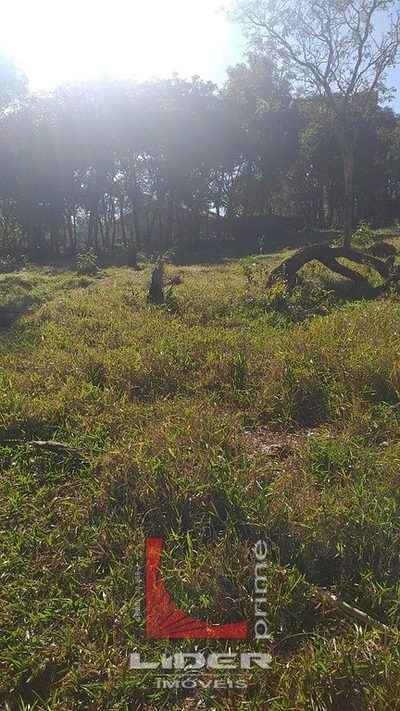 Terreno, 5000 m² - Foto 4