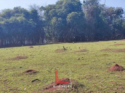 Terreno, 3 hectares - Foto 4