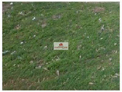 Depósito-Galpão, 10000 m² - Foto 2