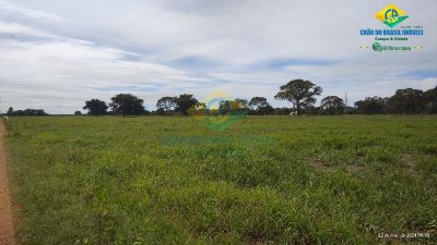 Chácara, 1 quarto - Foto 2