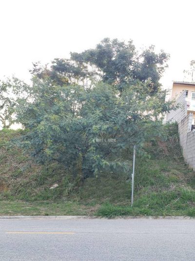 Terreno, 250 m² - Foto 3