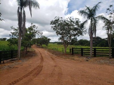 Fazenda - Foto 2