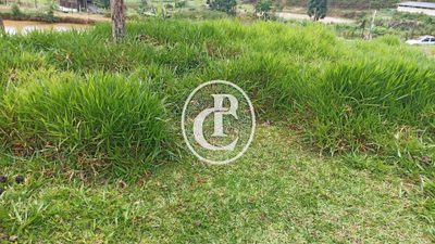 Terreno, 2 hectares - Foto 2