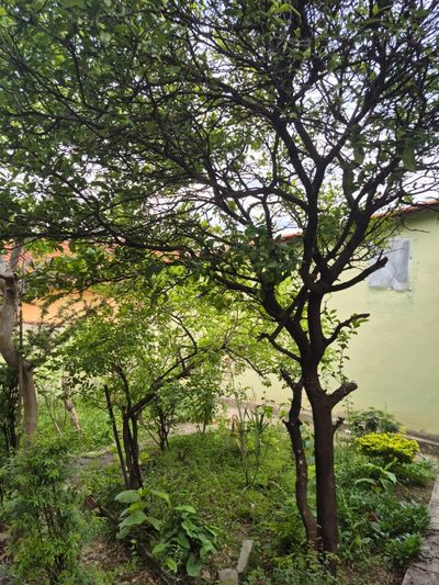 Casa, 3 quartos, 180 m² - Foto 5