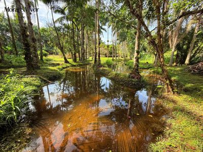 Fazenda, 1 hectares - Foto 3