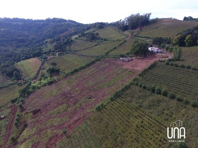 Chácara, 12 hectares - Foto 1