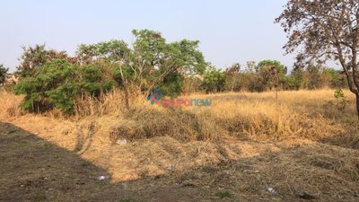 Terreno, 3 hectares - Foto 3