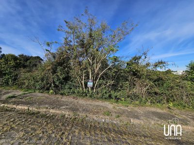 Terreno, 359 m² - Foto 2
