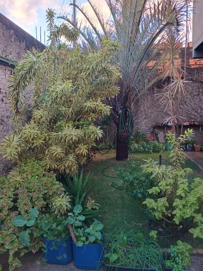 Casa, 3 quartos, 100 m² - Foto 2