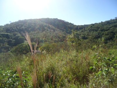 Terreno, 220 m² - Foto 3
