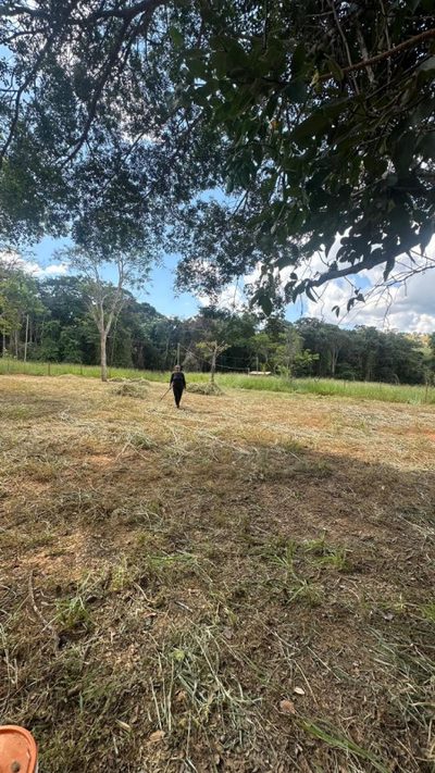 Terreno - Foto 4