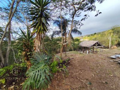 Loteamento e Condomínio, 3552 m² - Foto 5