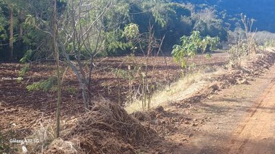 Loteamento e Condomínio, 5 hectares - Foto 2
