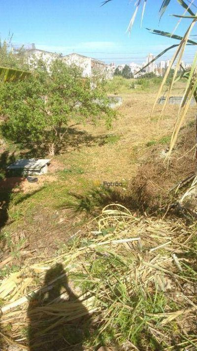 Terreno, 1000 m² - Foto 3
