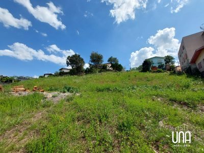 Terreno, 8206 m² - Foto 4
