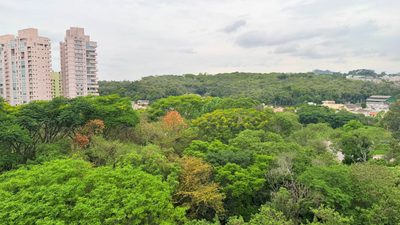Cobertura, 3 quartos, 248 m² - Foto 2