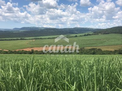 Fazenda, 175 m² - Foto 2