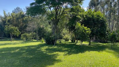 Chácara, 5045 m² - Foto 5