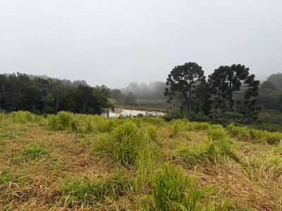 Fazenda, 2 quartos - Foto 5